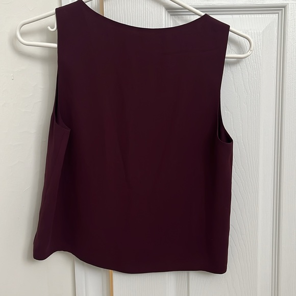 Aritzia Murphy Blouse - Picture 3 of 3